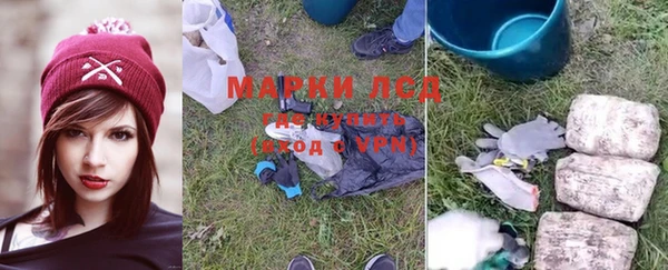 мяу мяу мука Инсар