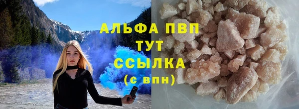 эйфоретик Инта