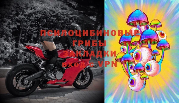 мяу мяу мука Инсар