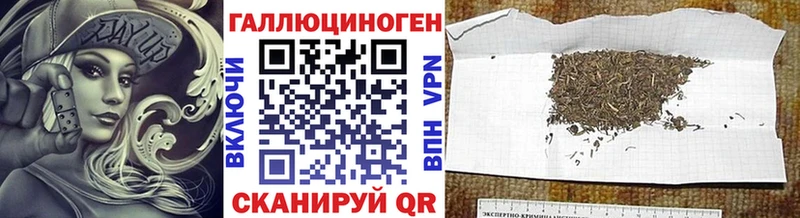 Купить  Талица  Галлюциногенные грибы прущие грибы 
